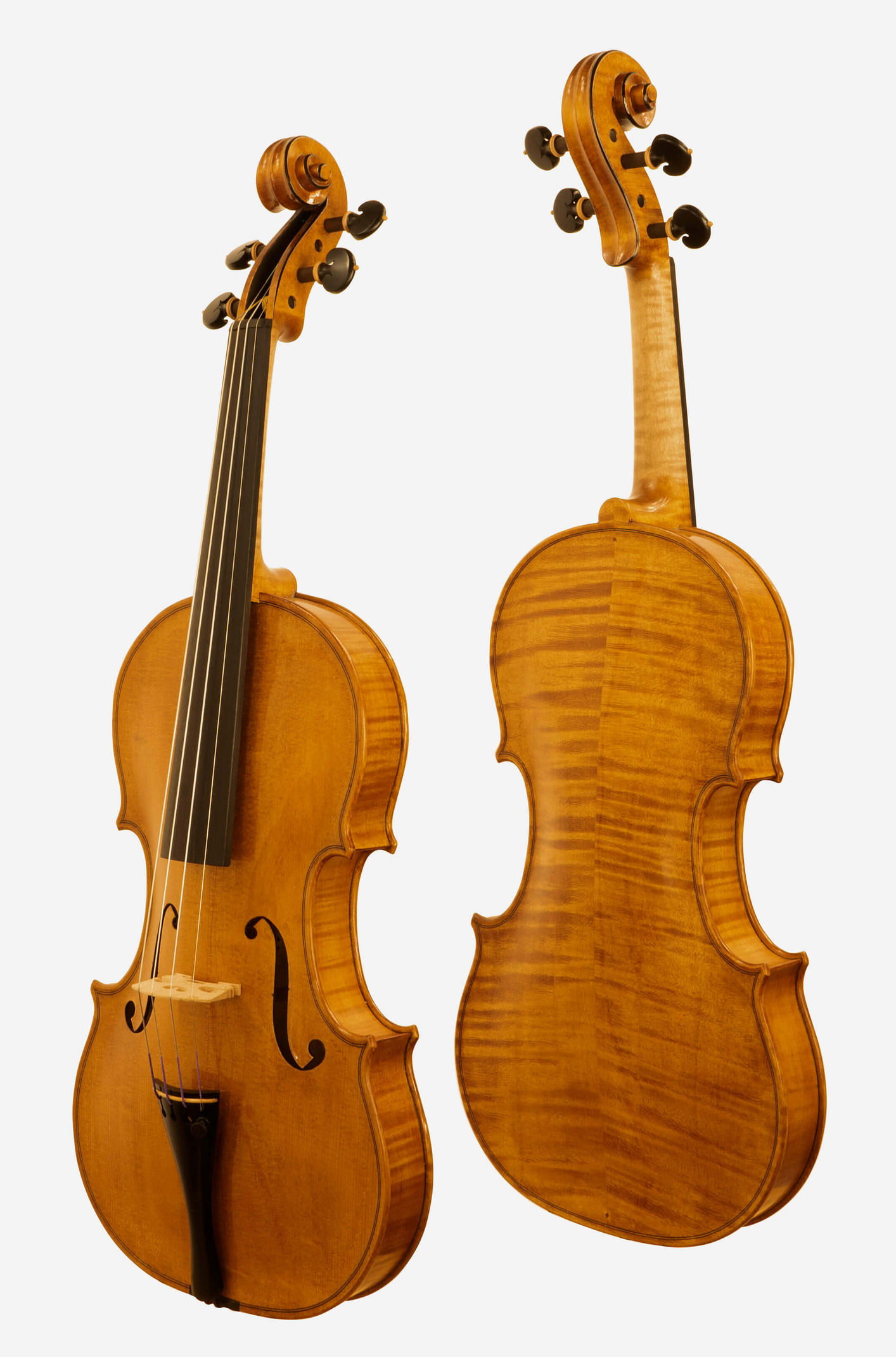 Violino 2022