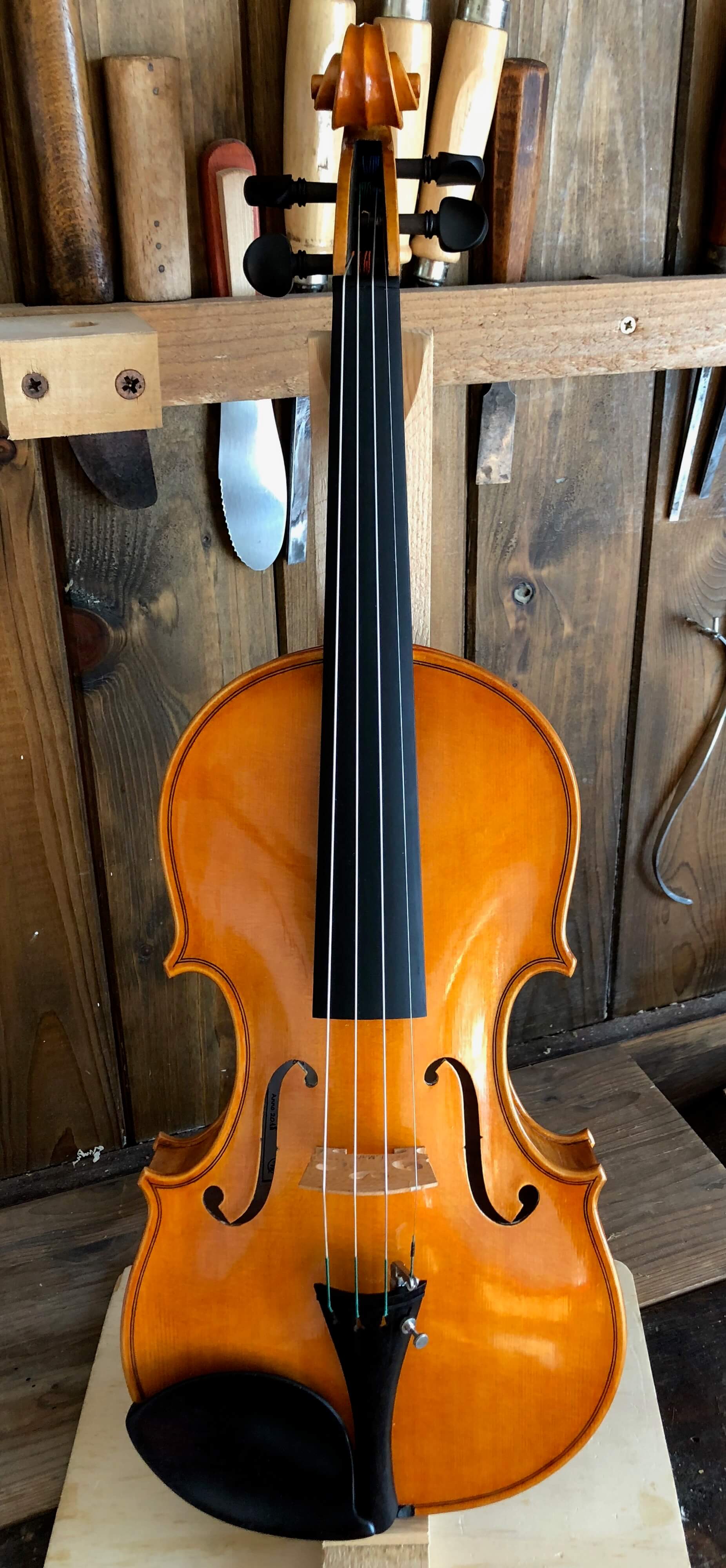 Violino 2018