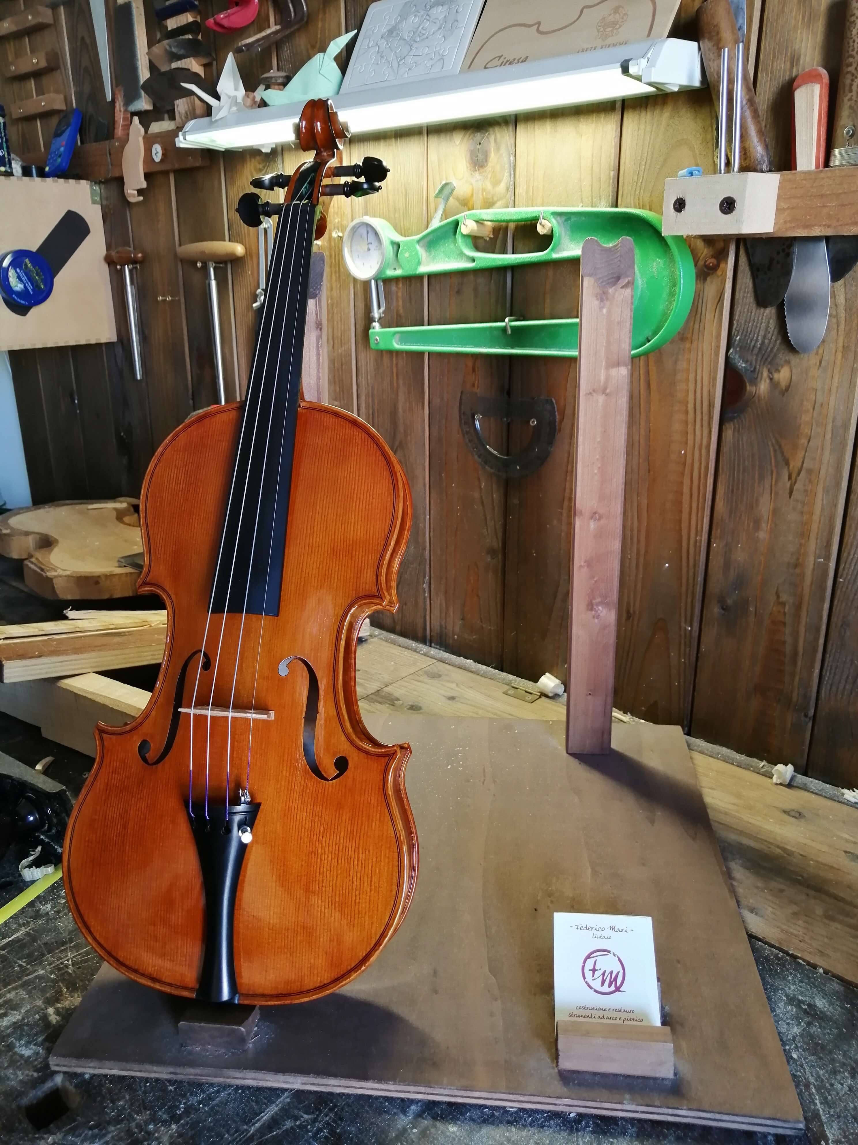 Violino 2019