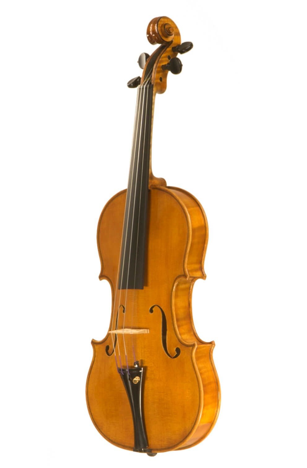 Violino 2021